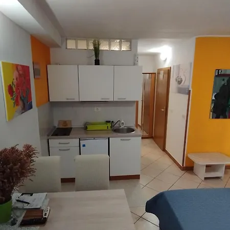 Apartment Apartma Santina *